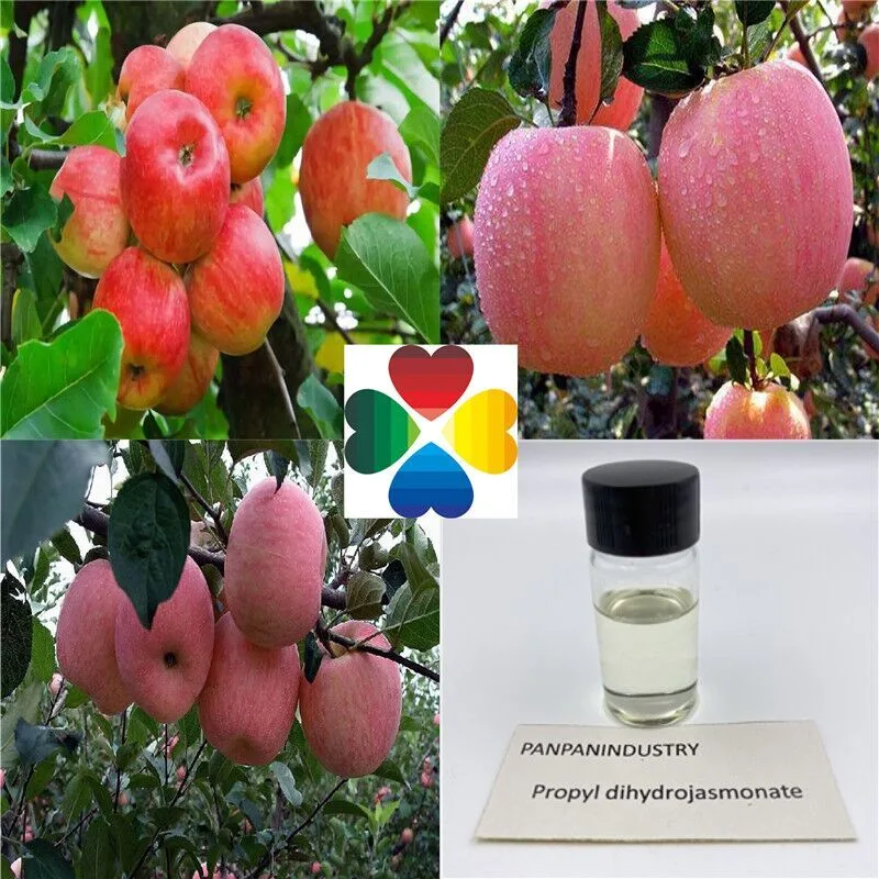 Plant Growth Regulator Pdj Propyl Dihydrojasmonate Pdj 10SL